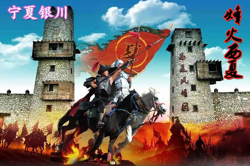 烽火西夏